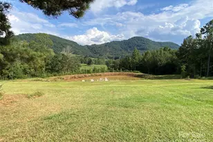 1180 Calton Rd, Bostic, NC 28018 - Photo 3