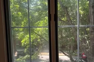 765 N Alexander St, Charlotte, NC 28202 - Photo 27