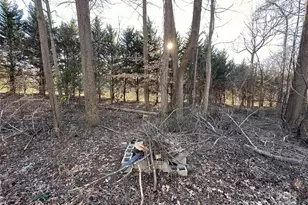 113 Highlander St, Morganton, NC 28655 - Photo 27