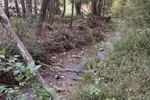 132 Hurd Rd, Canton, NC 28716 - Photo 45