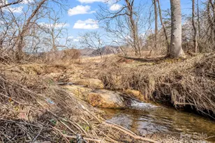 132 Hurd Rd, Canton, NC 28716 - Photo 39