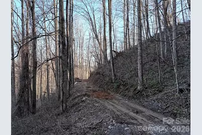 672 Porters Ridge, Canton, NC 28716 - Photo 9