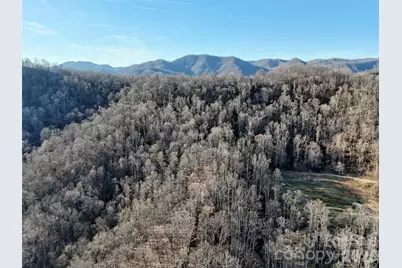 672 Porters Ridge, Canton, NC 28716 - Photo 17