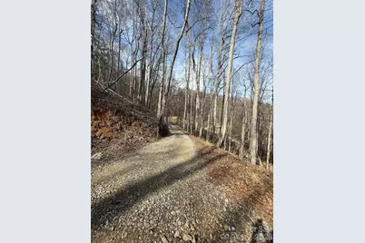 672 Porters Ridge, Canton, NC 28716 - Photo 3