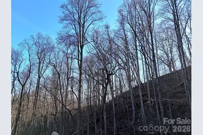 672 Porters Ridge, Canton, NC 28716 - Photo 7