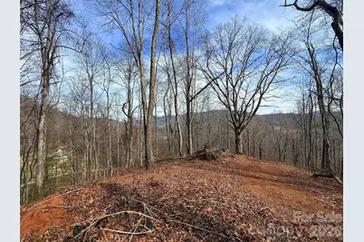 672 Porters Ridge, Canton, NC 28716 - Photo 1