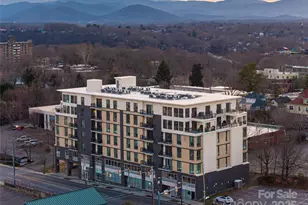 45 Asheland Ave, Asheville, NC 28801 - Photo 45