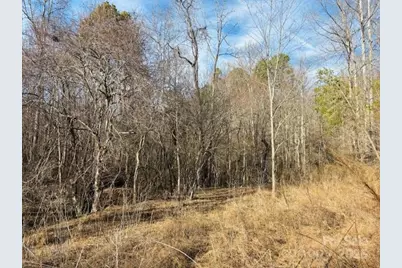 0 Clearwater Parkway #238, Rutherfordton, NC 28139 - Photo 9