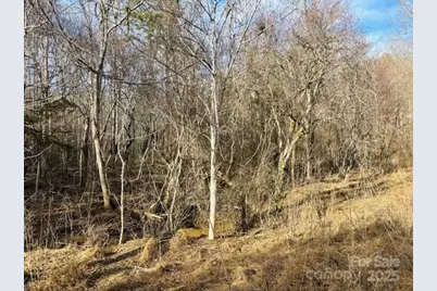 0 Clearwater Parkway #238, Rutherfordton, NC 28139 - Photo 7