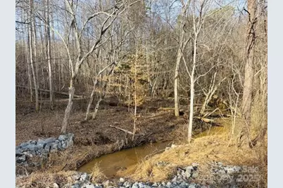 0 Clearwater Parkway #238, Rutherfordton, NC 28139 - Photo 1