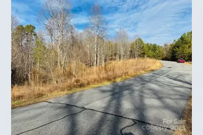 0 Clearwater Parkway #238, Rutherfordton, NC 28139 - Photo 13