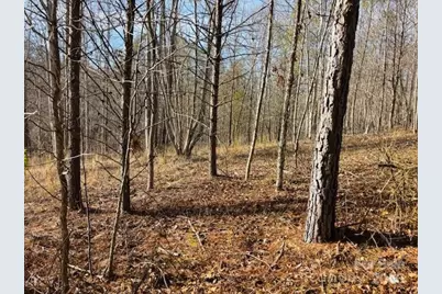 0 Clearwater Parkway #238, Rutherfordton, NC 28139 - Photo 17