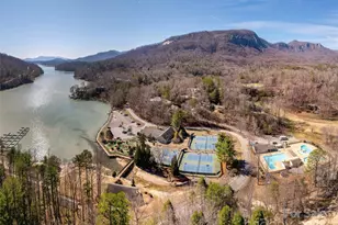 172 Summer Morning Ct, Lake Lure, NC 28746 - Photo 47