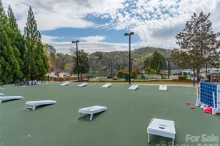 172 Summer Morning Ct, Lake Lure, NC 28746 - Photo 43