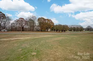 11020 Tyler Brook Ln, Mint Hill, NC 28227 - Photo 43