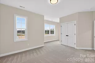 11020 Tyler Brook Ln, Mint Hill, NC 28227 - Photo 33