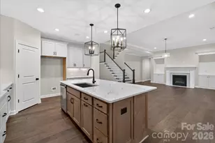 11020 Tyler Brook Ln, Mint Hill, NC 28227 - Photo 13