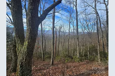 0000 Black Mountain Road #52, Cullowhee, NC 28723 - Photo 3