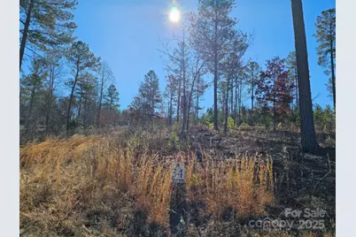 2195 Inlet Shore Road, Connelly Springs, NC 28612 - Photo 15