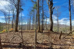 103 Barn Rd, Burnsville, NC 28714 - Photo 5