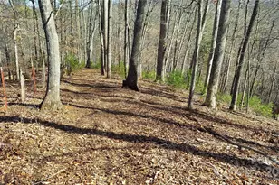 103 Barn Rd, Burnsville, NC 28714 - Photo 3