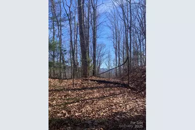 Tbd Ashe Branch View #66J, Hayesville, NC 28904 - Photo 7