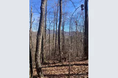 Tbd Ashe Branch View #66J, Hayesville, NC 28904 - Photo 13