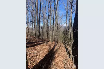 Tbd Ashe Branch View #66J, Hayesville, NC 28904 - Photo 11