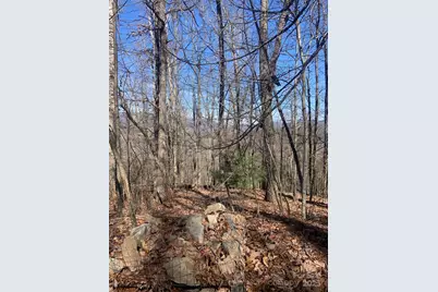 Tbd Ashe Branch View #66J, Hayesville, NC 28904 - Photo 19