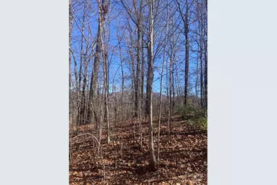 Tbd Ashe Branch View #66J, Hayesville, NC 28904 - Photo 9