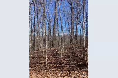 Tbd Ashe Branch View #66J, Hayesville, NC 28904 - Photo 3
