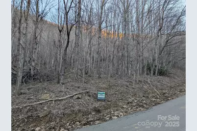 47 Wedgewood Terrace #1201, Black Mountain, NC 28711 - Photo 13