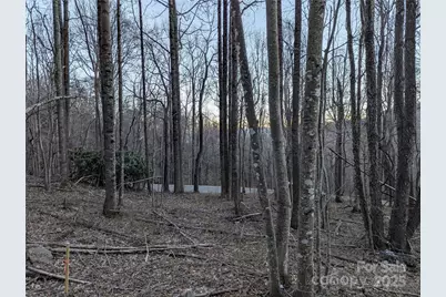 47 Wedgewood Terrace #1201, Black Mountain, NC 28711 - Photo 7