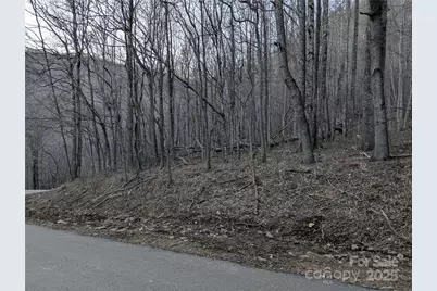 47 Wedgewood Terrace #1201, Black Mountain, NC 28711 - Photo 11