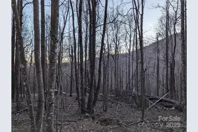 47 Wedgewood Terrace #1201, Black Mountain, NC 28711 - Photo 9