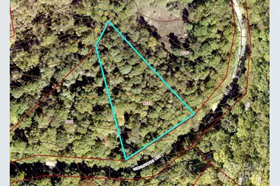 47 Wedgewood Terrace #1201, Black Mountain, NC 28711 - Photo 3