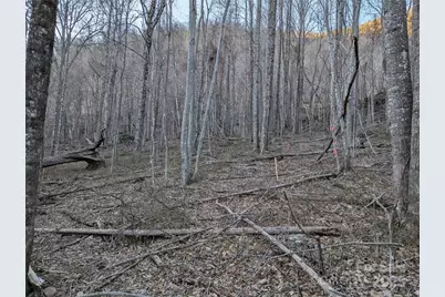 47 Wedgewood Terrace #1201, Black Mountain, NC 28711 - Photo 15