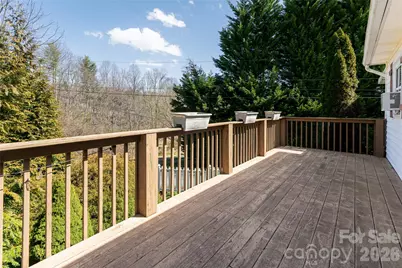 338 Morgan Road, Candler, NC 28715 - Photo 29
