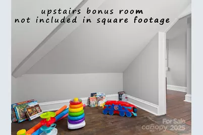 163 Pharr Street, Canton, NC 28716 - Photo 41