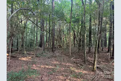 106 Serenity Creek Drive, Waxhaw, NC 28173 - Photo 17