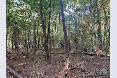 106 Serenity Creek Drive, Waxhaw, NC 28173 - Photo 11