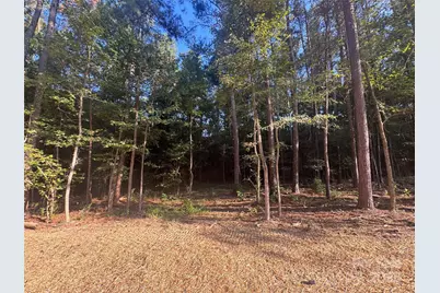 106 Serenity Creek Drive, Waxhaw, NC 28173 - Photo 7