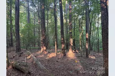 106 Serenity Creek Drive, Waxhaw, NC 28173 - Photo 13