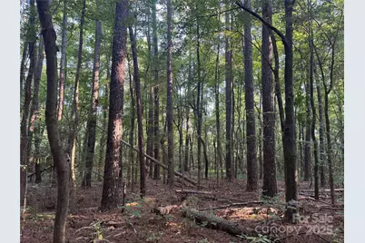 106 Serenity Creek Drive, Waxhaw, NC 28173 - Photo 15