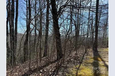 217 Chatsworth Court, Flat Rock, NC 28731 - Photo 9