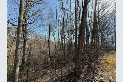 217 Chatsworth Court, Flat Rock, NC 28731 - Photo 17