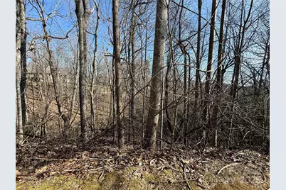 217 Chatsworth Court, Flat Rock, NC 28731 - Photo 15