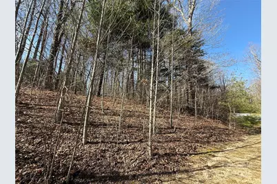 217 Chatsworth Court, Flat Rock, NC 28731 - Photo 19