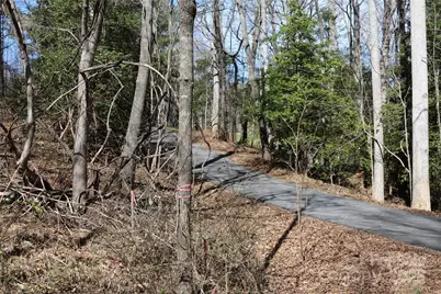 00 Crappie Hollow Lane, Taylorsville, NC 28681 - Photo 9