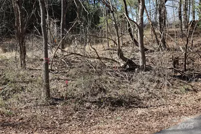 00 Crappie Hollow Lane, Taylorsville, NC 28681 - Photo 11